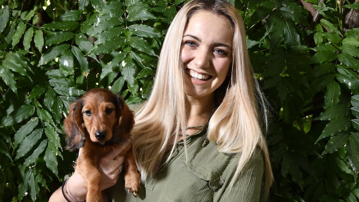 file71z61kjusuv5jwom70n