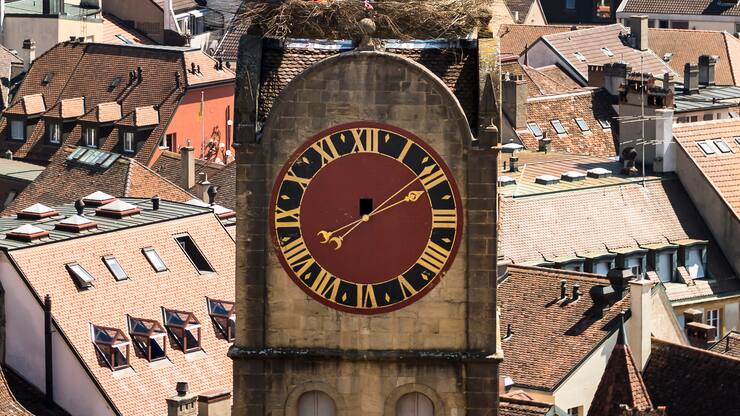 file751mpydwjcl1c9dddnof