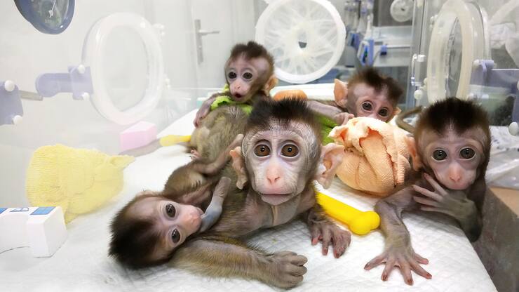 file73yld8jvp8xqvyt1cq4