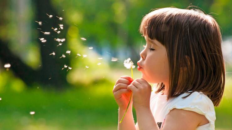 file7an0msof8o4iiuz0h98