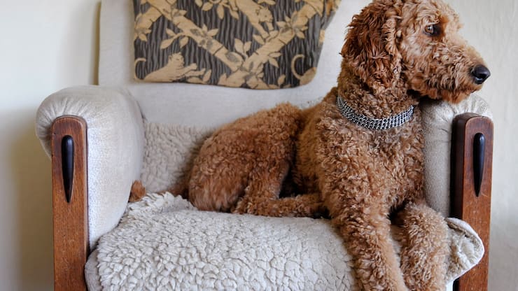 file70nbt63q9j6125zma48c