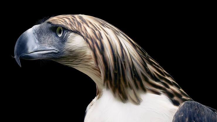 file7cb5zhksdhgte2rhfn