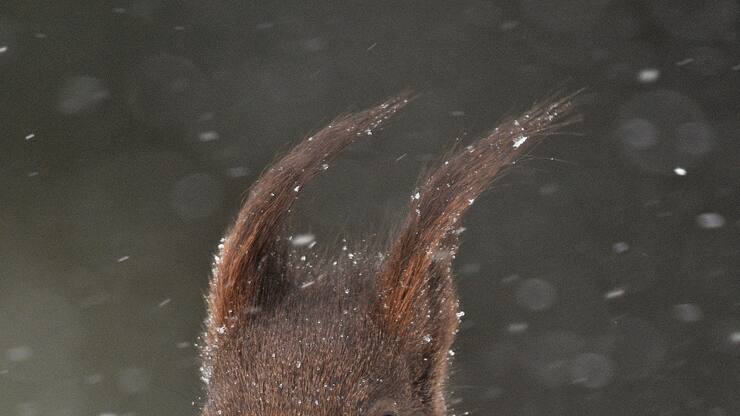 file73hmiwcoj1zqd6ahocf