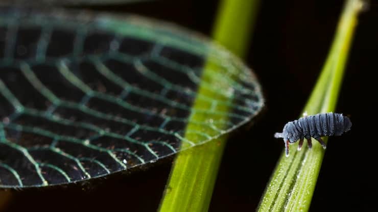 file7b98ujzi2tz1ddczc4bd