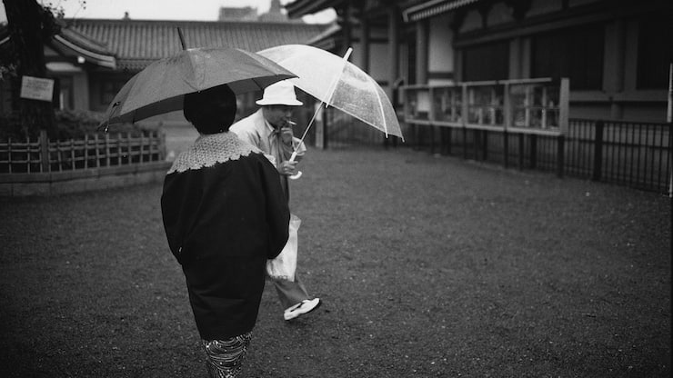 file75xis6nc5llsn1xcip6