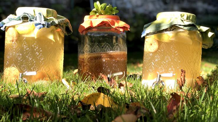 file7854635jaif177r10fuk