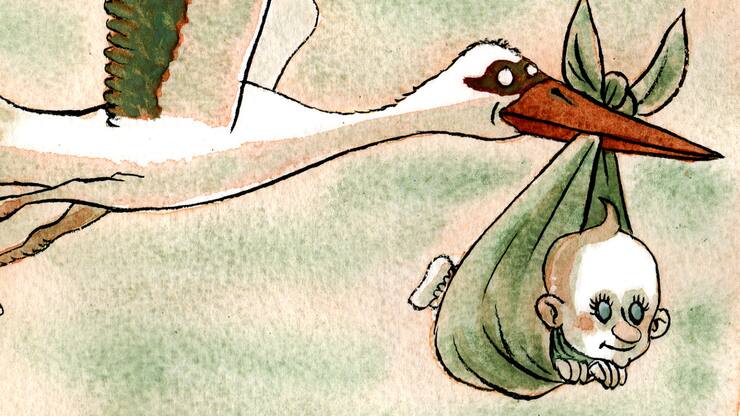 file71ocdaokxyalwbhvl6s