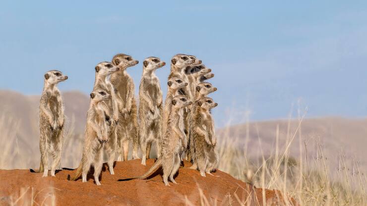 file709mk5wzypuoa5ktgqt