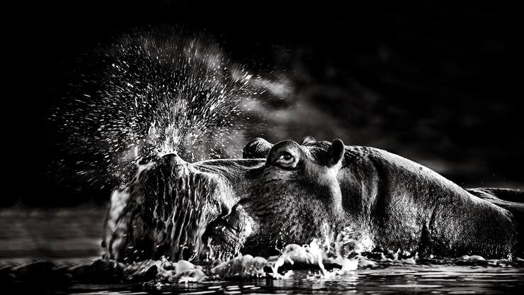 file70aio08wqwhcz9d5euo