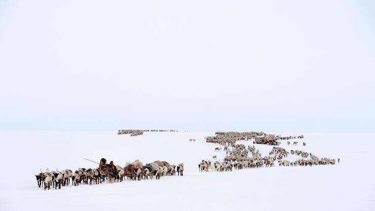 file709lqaobfue1mnlf92rs