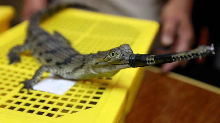 file70w911hjde0okyoq4p2