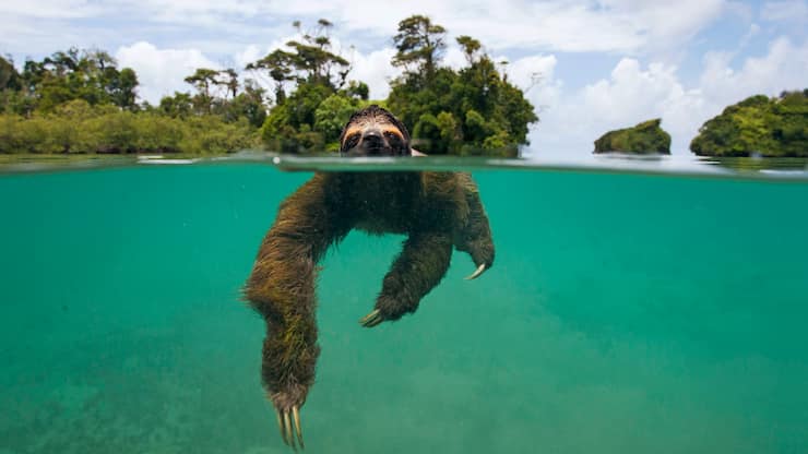 file70ahtfxioowimibeeuz