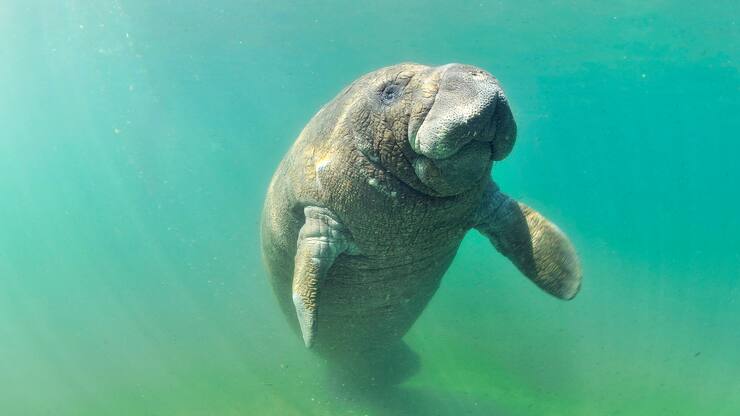 file70a0kmsqteo1f6v1zgsh