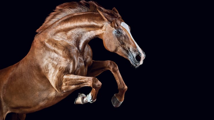 file709m8d3zd349uf5m2rs