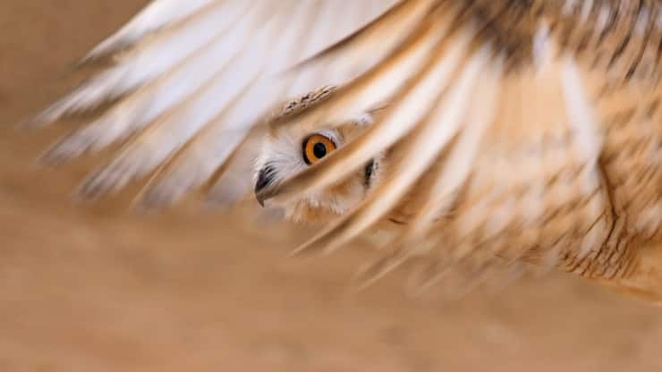 file709ywrojh7qqmzx2te