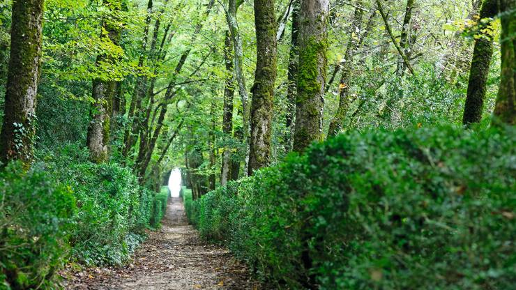 file709zkfbuedc1a0t0p2tg