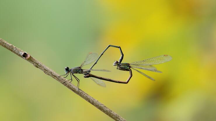 file70a0xlv12pui6sfo2tf