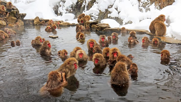 file70aihgieqgxi2jlzevb