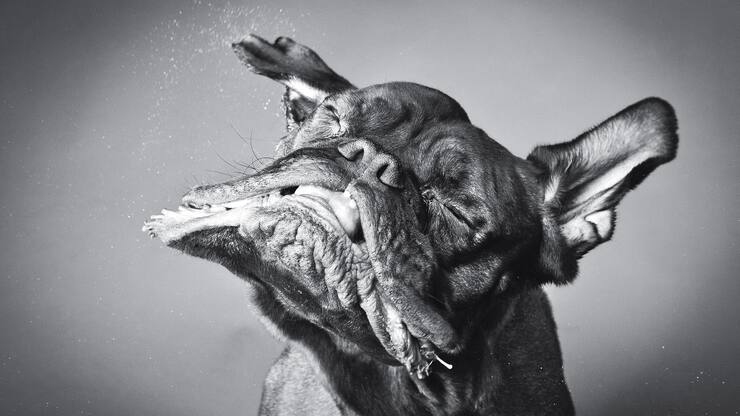 file70aj6bw1ztz18jqtsgqt