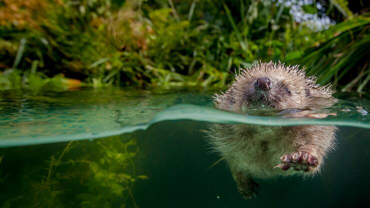 file70ajeslqt0h1kfcdxgrr