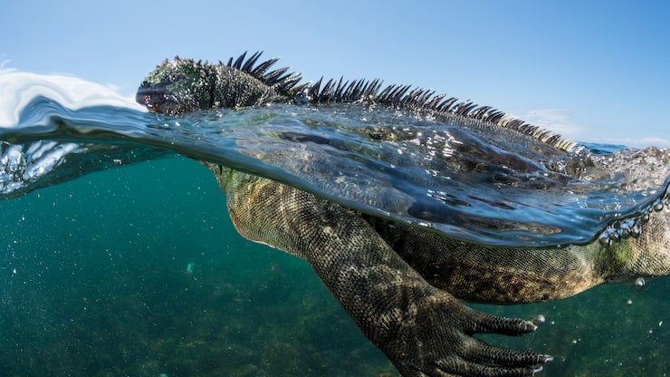 file70ajqellwl02wjl3om2