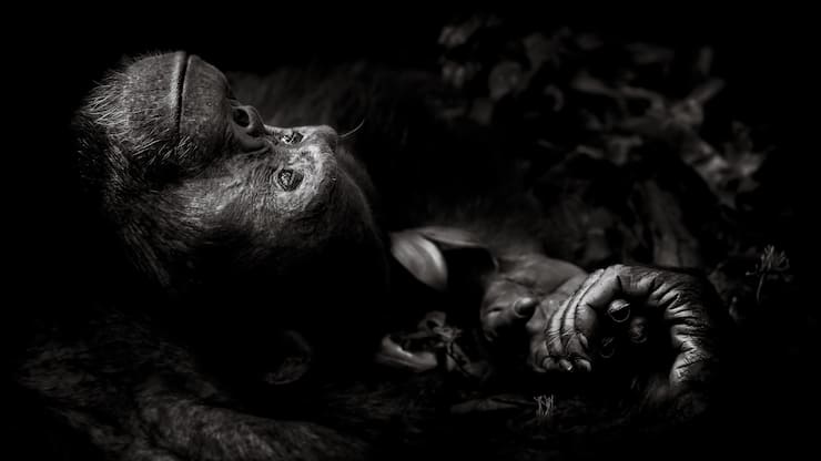 file70amfe04koh19xgadgq7