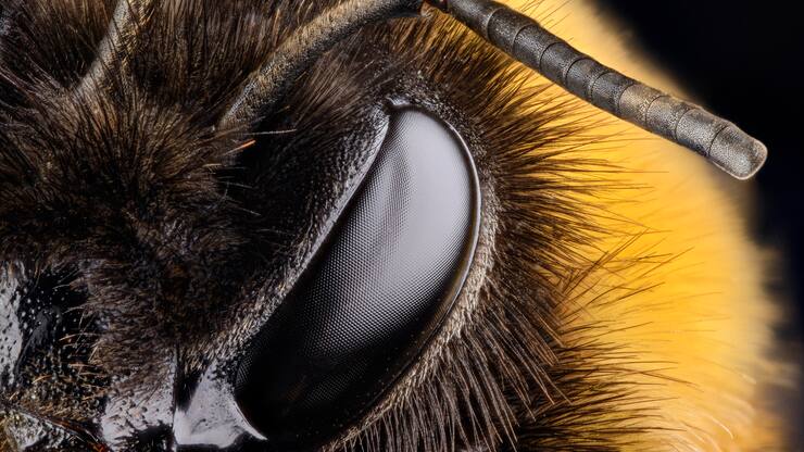 file709l0gr9x6h1964md2rs