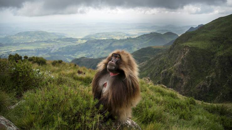 file709i6osja4nwdvcd5mf