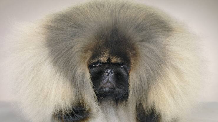 file709m39subury8sgie03