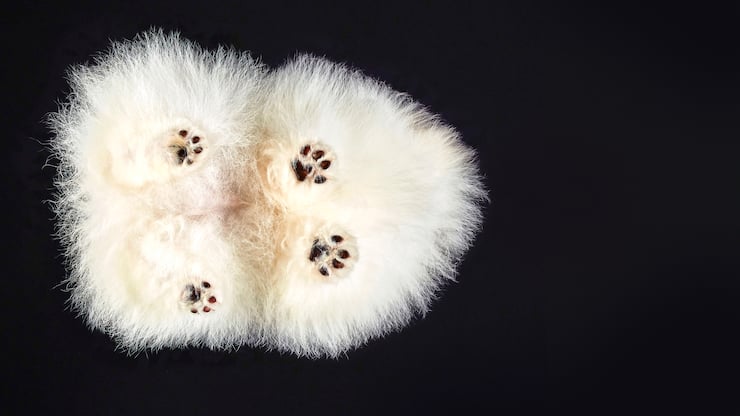 file709ksp1yqac2ir1bgrr