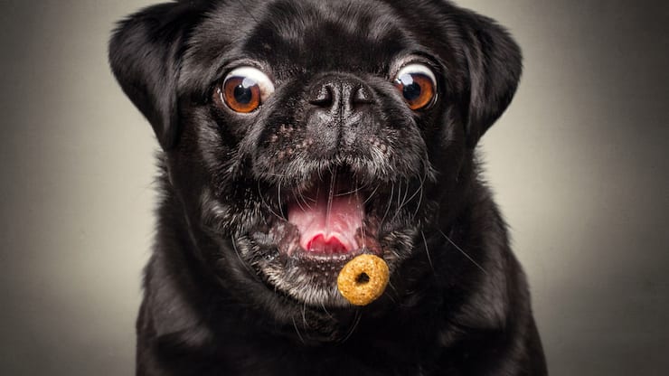 file70ak0nz72rkwbwq1grr