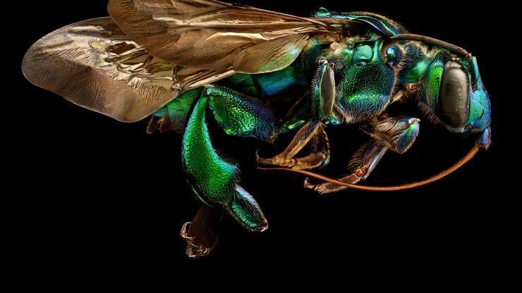 file70aj464ftlf90rbjb6q