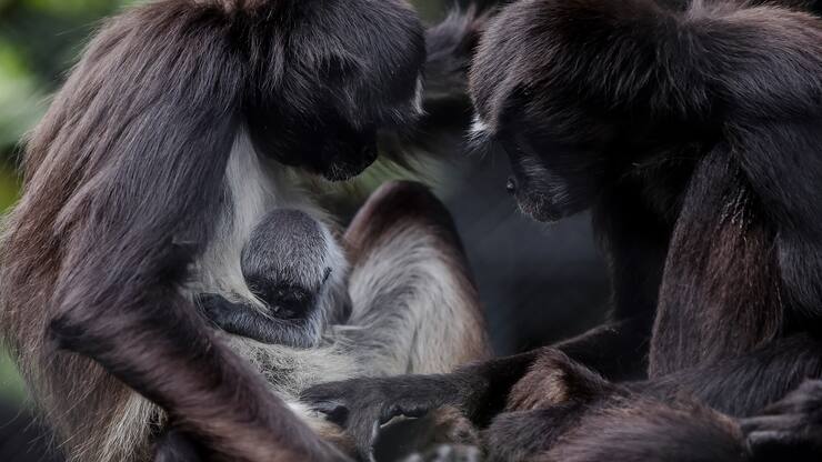 file739ezdaa8zppvm30kxa