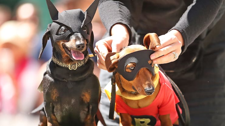 file72avcbuyw528jsf34d5