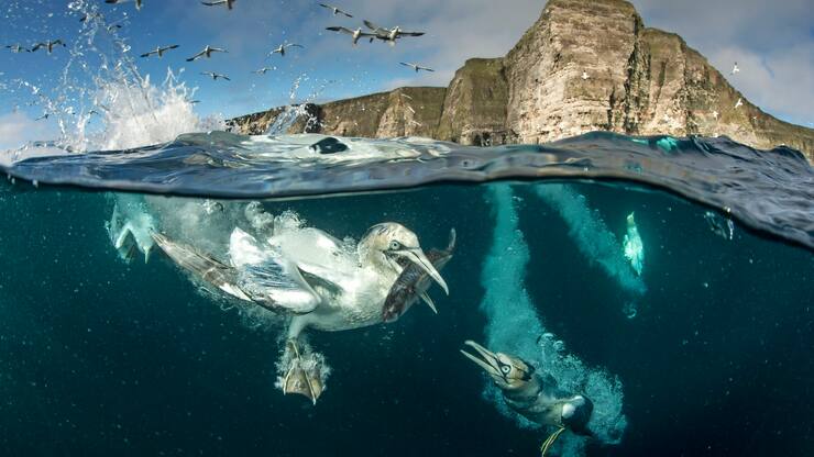 file76fg14urn2u5ouyf1bk