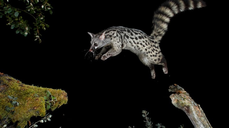 file7bq66zz93whaia6c3tw