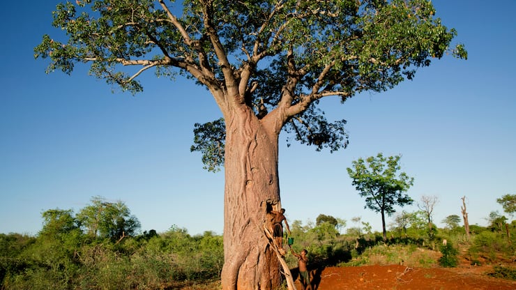 file7br9ap20vgh1czyaz9ud