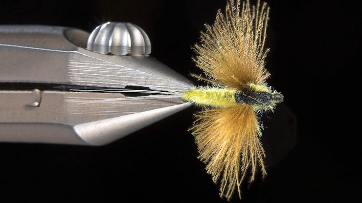 file71cmnbrq1jl1lnluj1f7