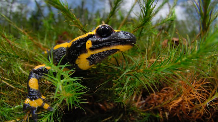 file7bygupos0k9c4jbr7xq