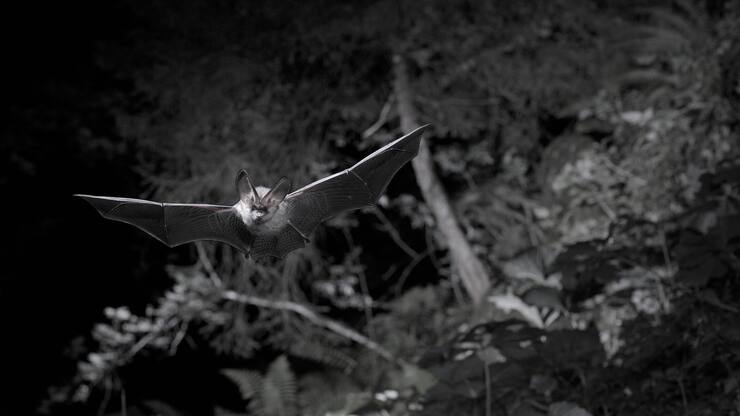 file76rar4f6bit1540dtpa1