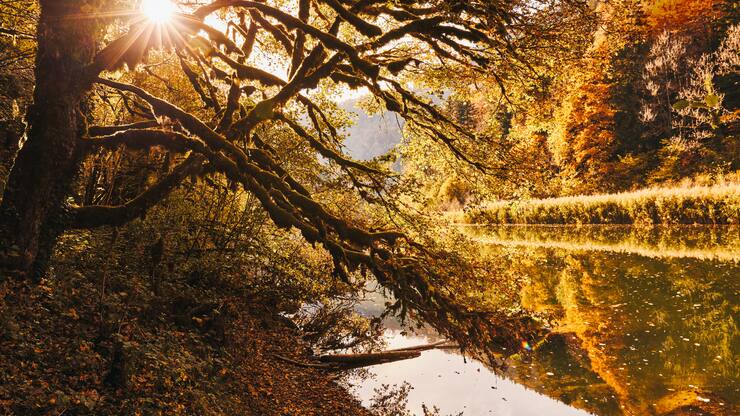 Balade au fil du Doubs, Goumois 