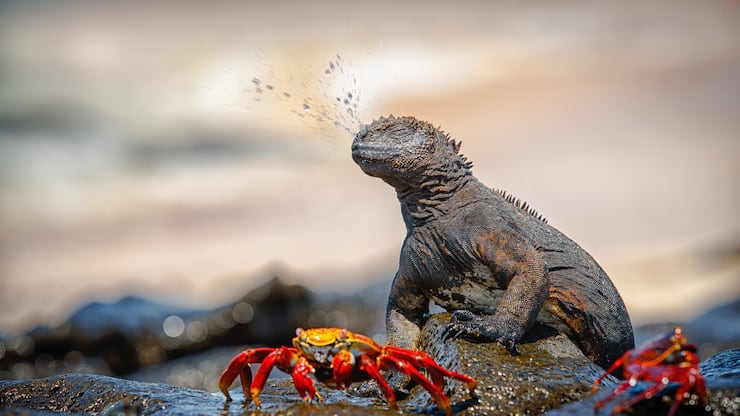 file72z61kp69hw4mml52zr