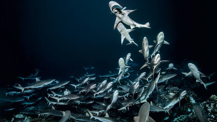 file7c0ubi1exsw1huuop7im