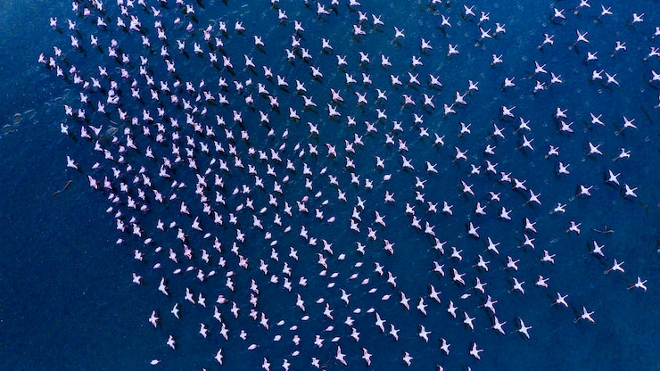 file798p7c1tj9i1fnfnz7h9