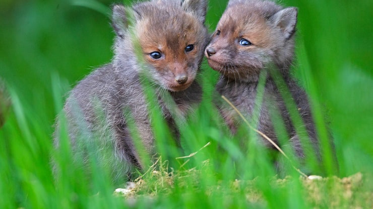 file7bfawlv6ixiy2uug8yq