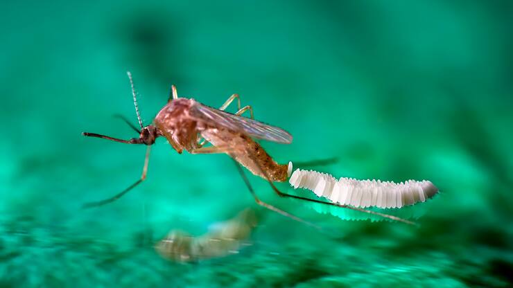 file7bbur0ejw4kb0370apy