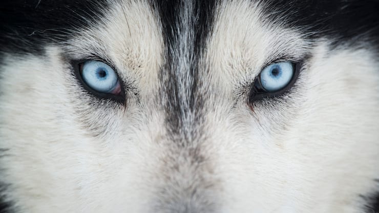 file73tlgit8thv8agvw6wm