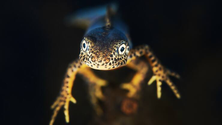 file735bcsk8monyxdqbln0