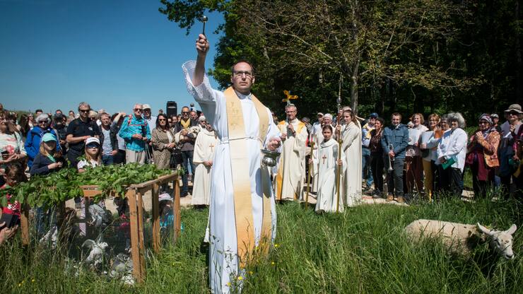 file75m56nf0adiiqvo89at