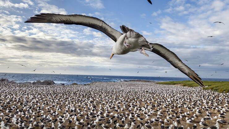 file77nn18srqk815xh5ntn